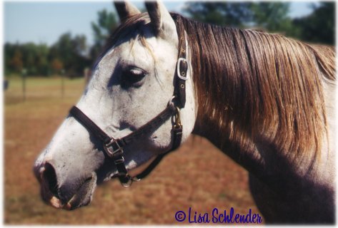 Smokey ~ 1999