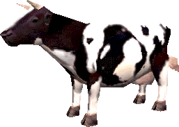 COW!!