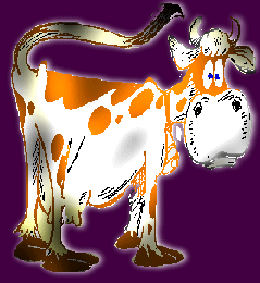 COOL COW!!