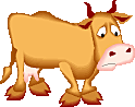 SAD COW!!