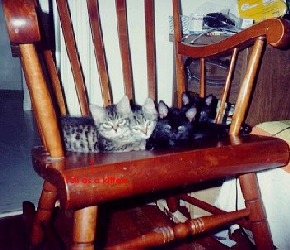 tuli's siblings
