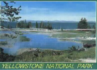 Yellowstone