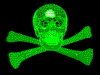 skull.jpg (7143 bytes)