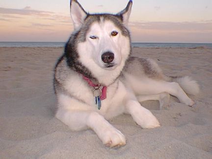 Ketah at the beach