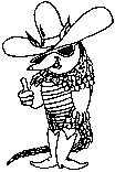 cool cowboy dillo