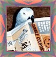 coco