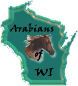 Arabian Horses of NetRing - Want to
join the ring?