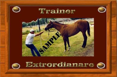 Trainer A-Ward