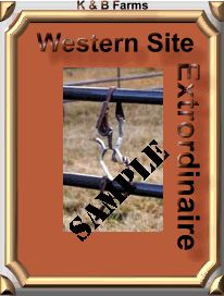 Western Excellence