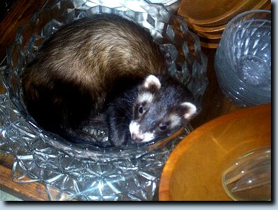 KITBOWL.JPG(38,542 bytes)