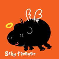 Baby forever