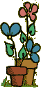 Flower Pots