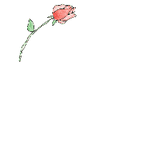 circle of roses/friends are continuous