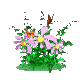 flowers with butterflies