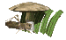 grasshopper