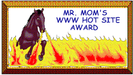 Mr. Mom's Award