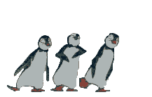 dancing penguins