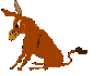 kicking donkey