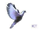 hovering dove