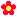small color changing flower
