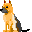 German Shepard