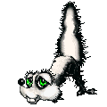 skunk