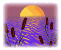 sun with reeds