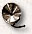 [ICQ forwarding instructions]