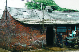 blackwellfarm1.JPG