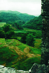 fireplacecarnissariecastle.JPG