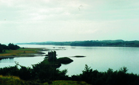 castlestalker.JPG