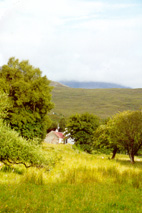 cromasaigbackview.JPG