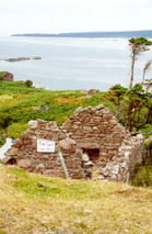 forsalelochsheildaig.JPG