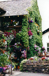 johnpeelpub.JPG