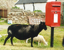 postmanpatwhereareyou.JPG