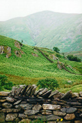typicalfences.JPG