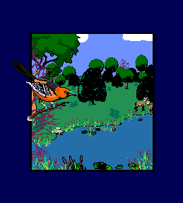 enviro graphic