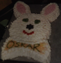 My first birthday-cake