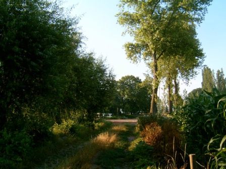 Achterstraat bij Diebracht