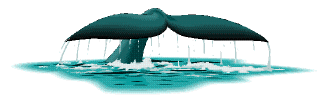 tail