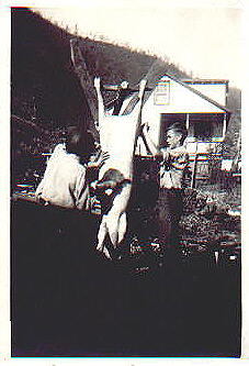 Uncle Paul and unidentified others butchering hogs