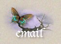 Email me