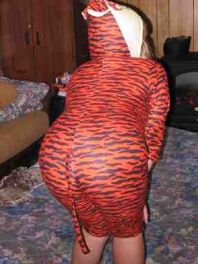 stiger2 (10K)