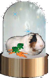 Gertie Gizmo
