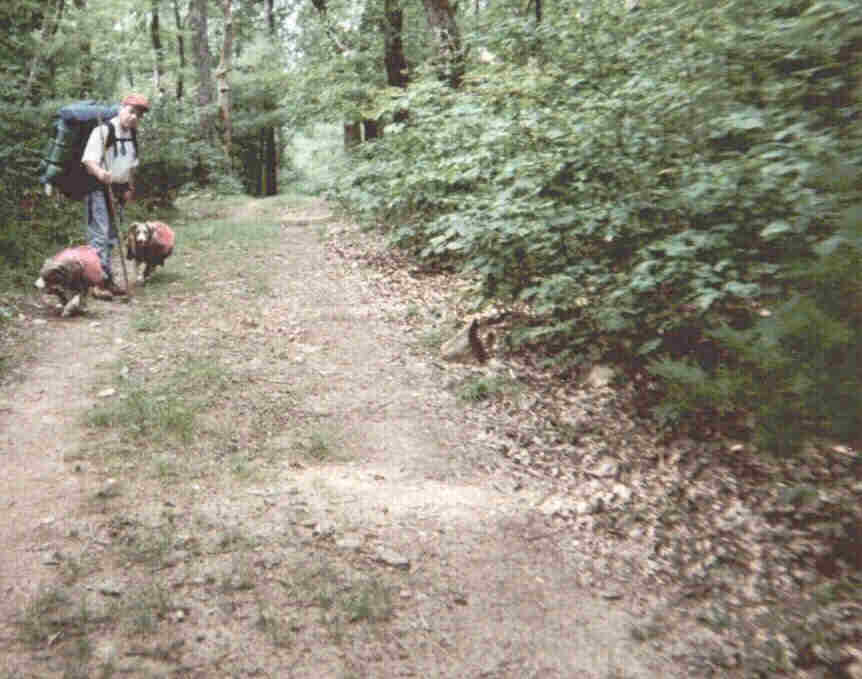 Richard, Sheila and Brumby on the trail