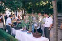 p�blico observando