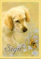 sign the guestbook