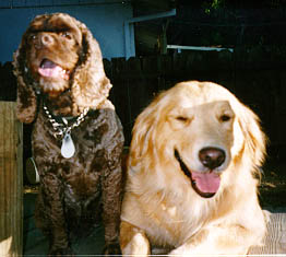 Smiley & Max