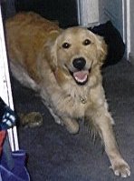 josh5.jpg