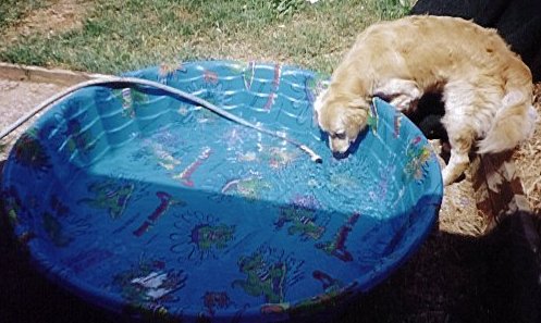 pool.jpg
